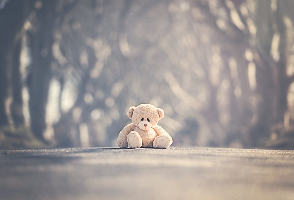 Грустный медведь