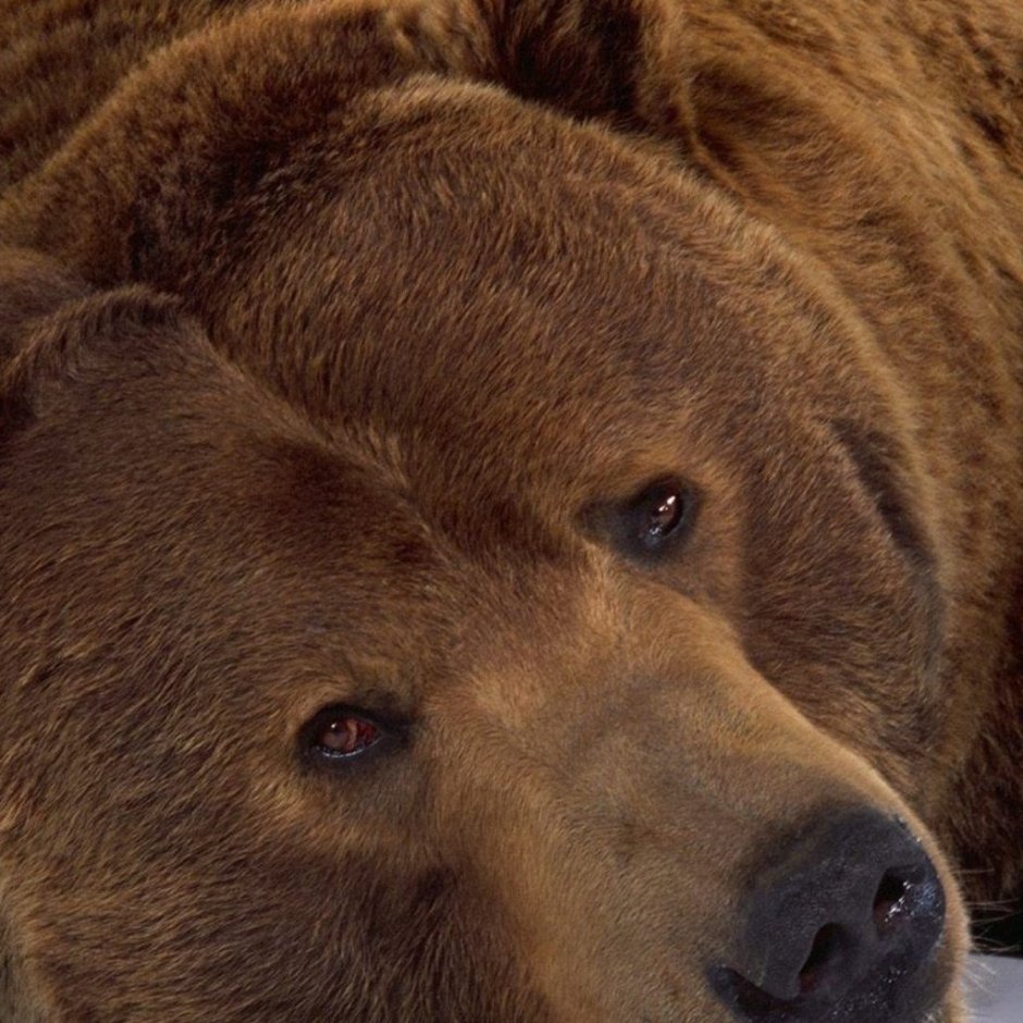 Очень печально и грустно