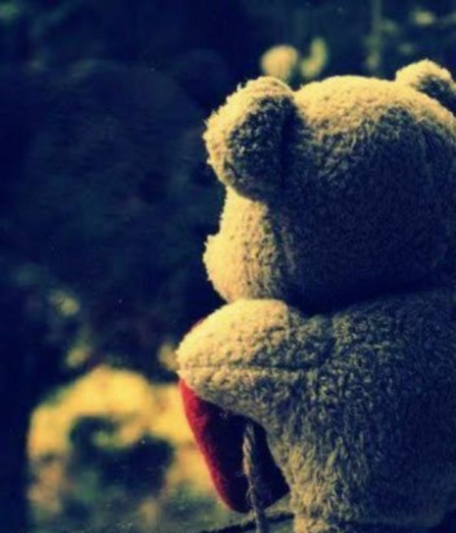 Финалисты конкурса comedy Wildlife Photography Awards: