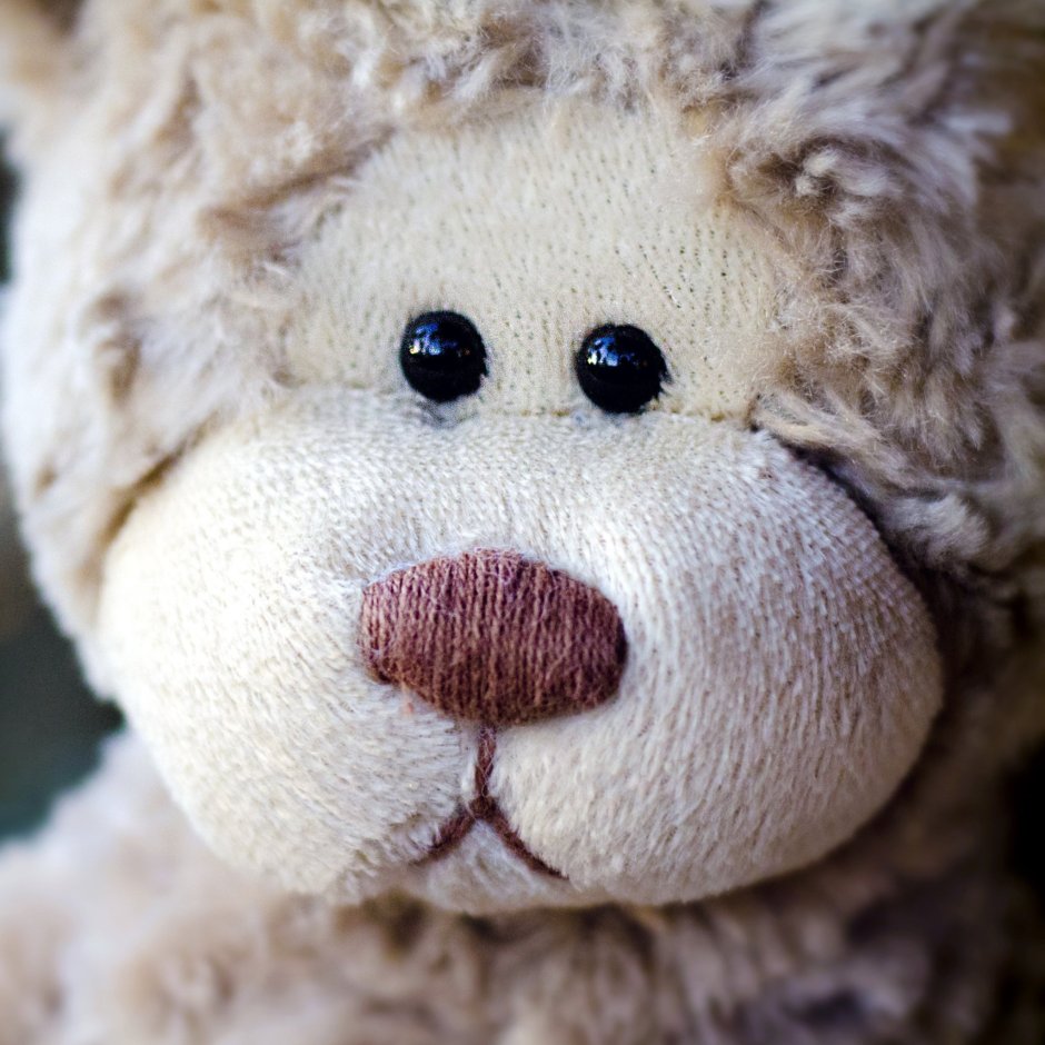 Одинокий Медвежонок