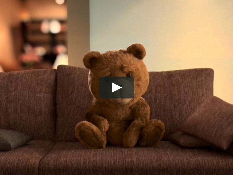 Забавные медвежата