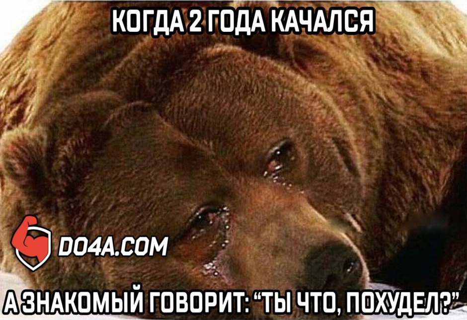 Одинокий плюшевый мишка