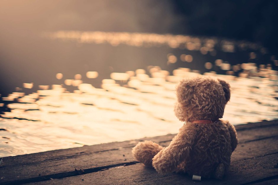 Медведь на скамейке под дождем