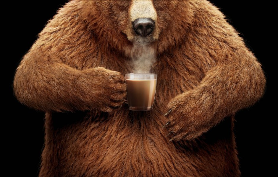 Задумчивый грустный медведь