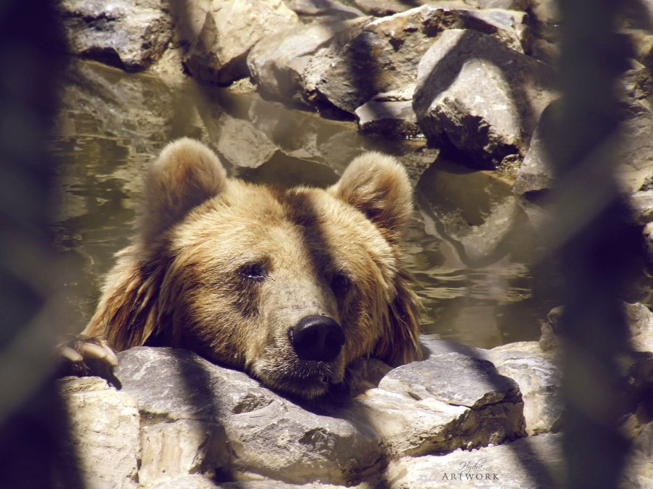Грустный плюшевый медведь