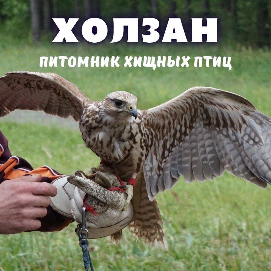 Музей Галичья гора Липецкая область