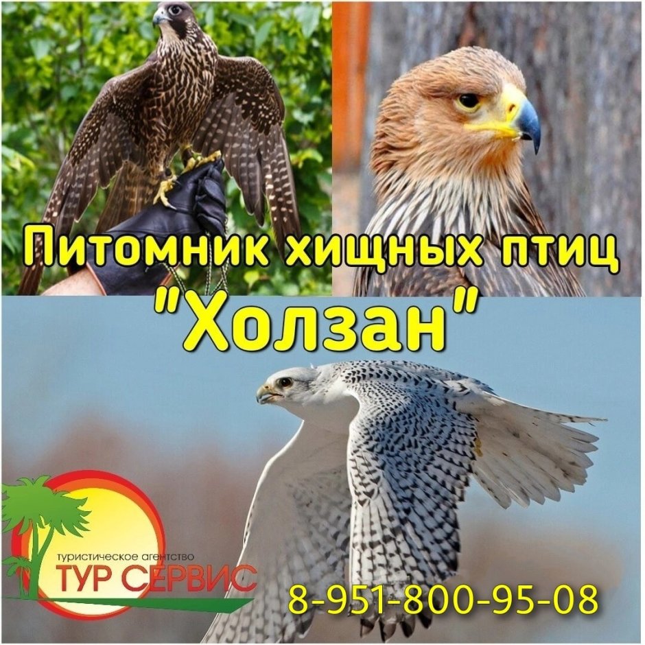 Императорский Орел могильник