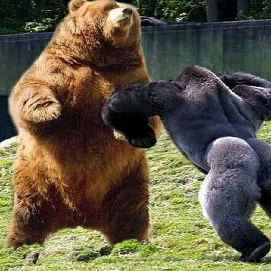 Новейший Завет фэнтези, комедия 2015