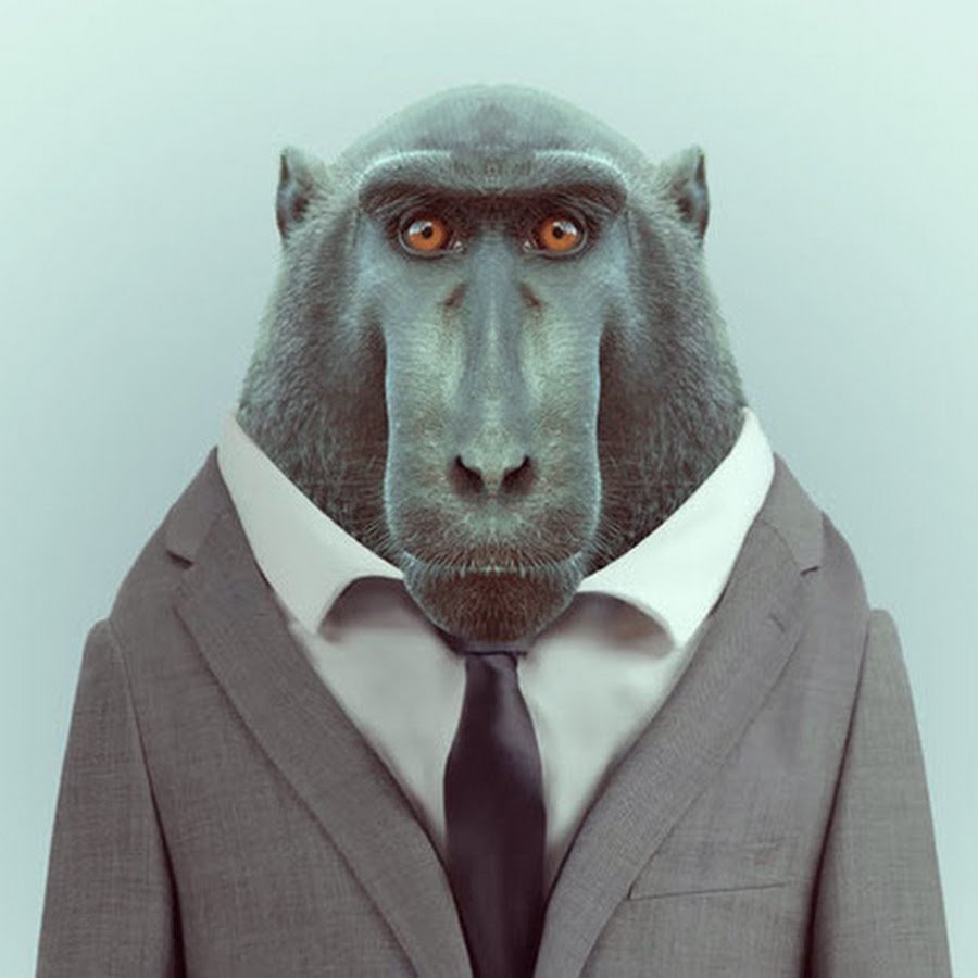 Девушка и медведь