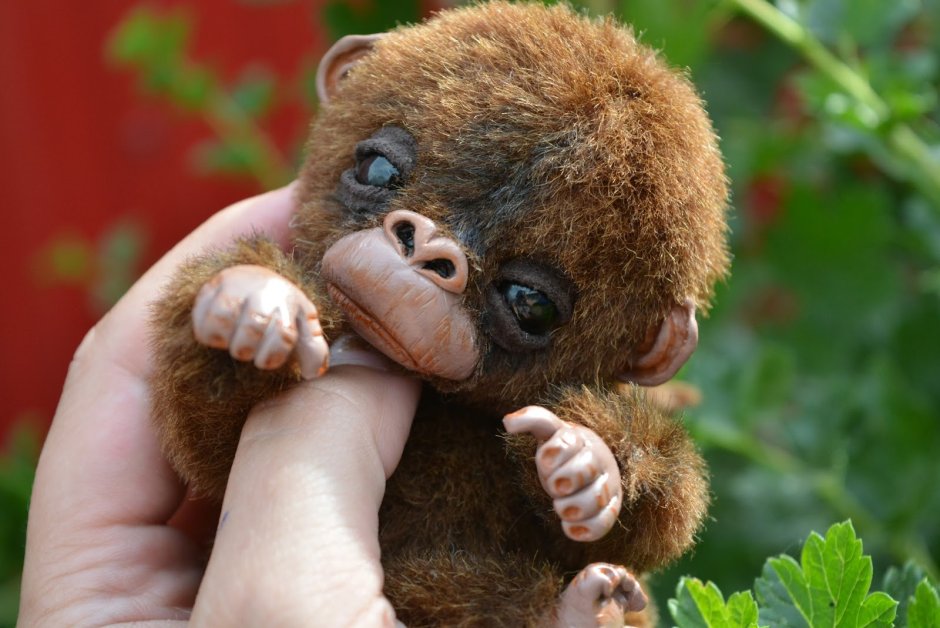 Медведь обнимает