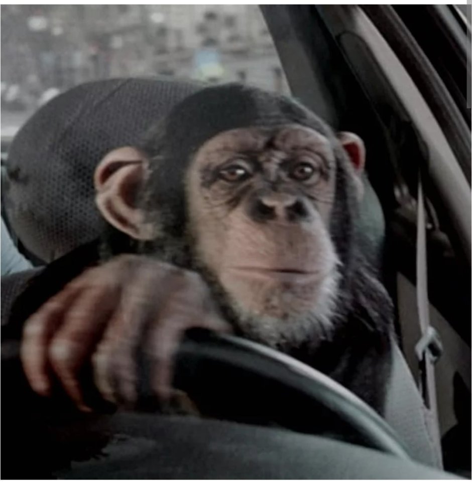 Бабуин и Львенок