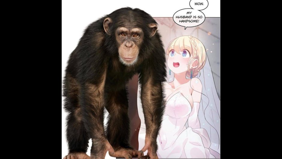 Медведь в очках