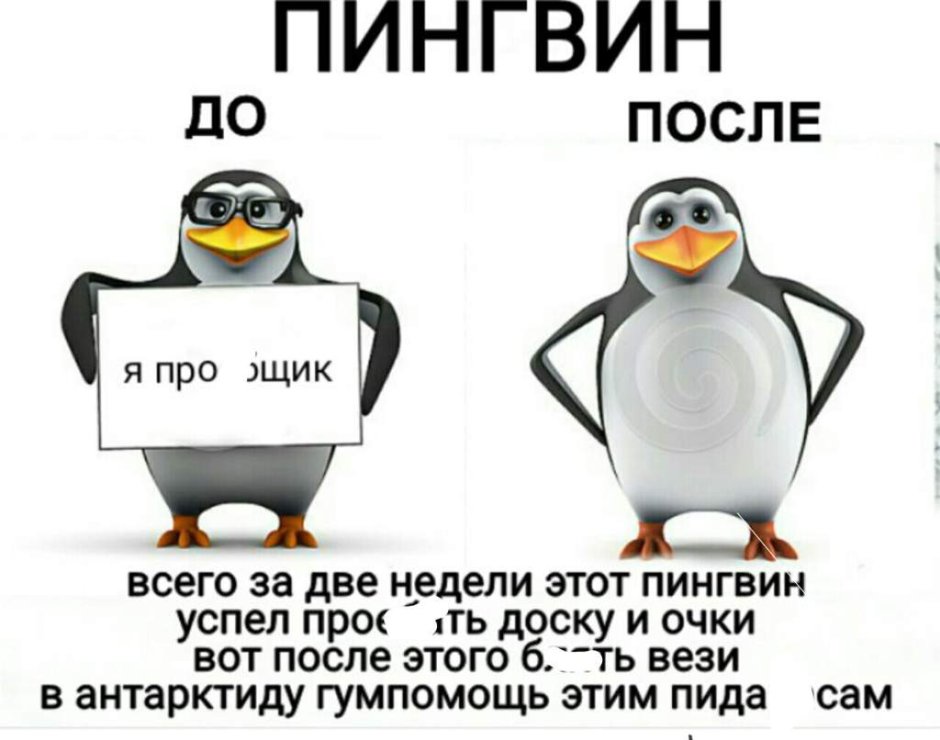 Глупый Пингвин