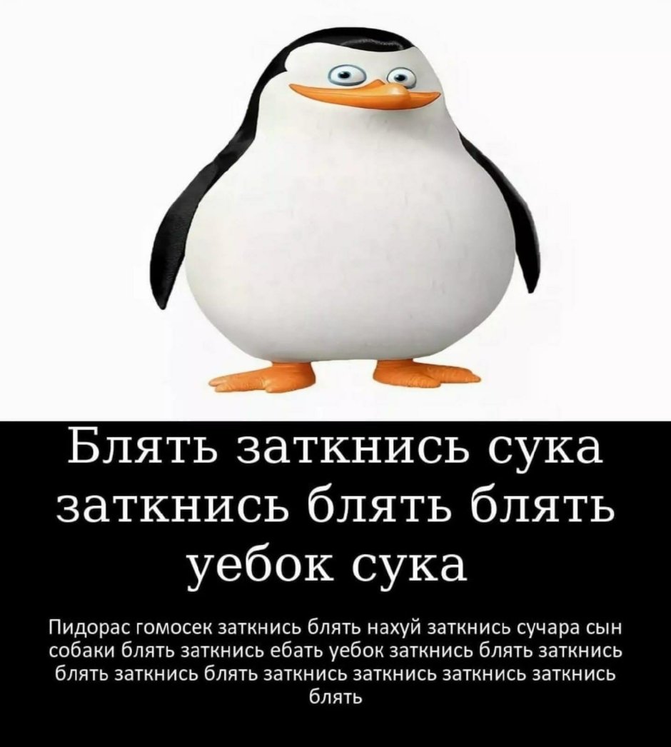 Морские котики насилие пингвинов