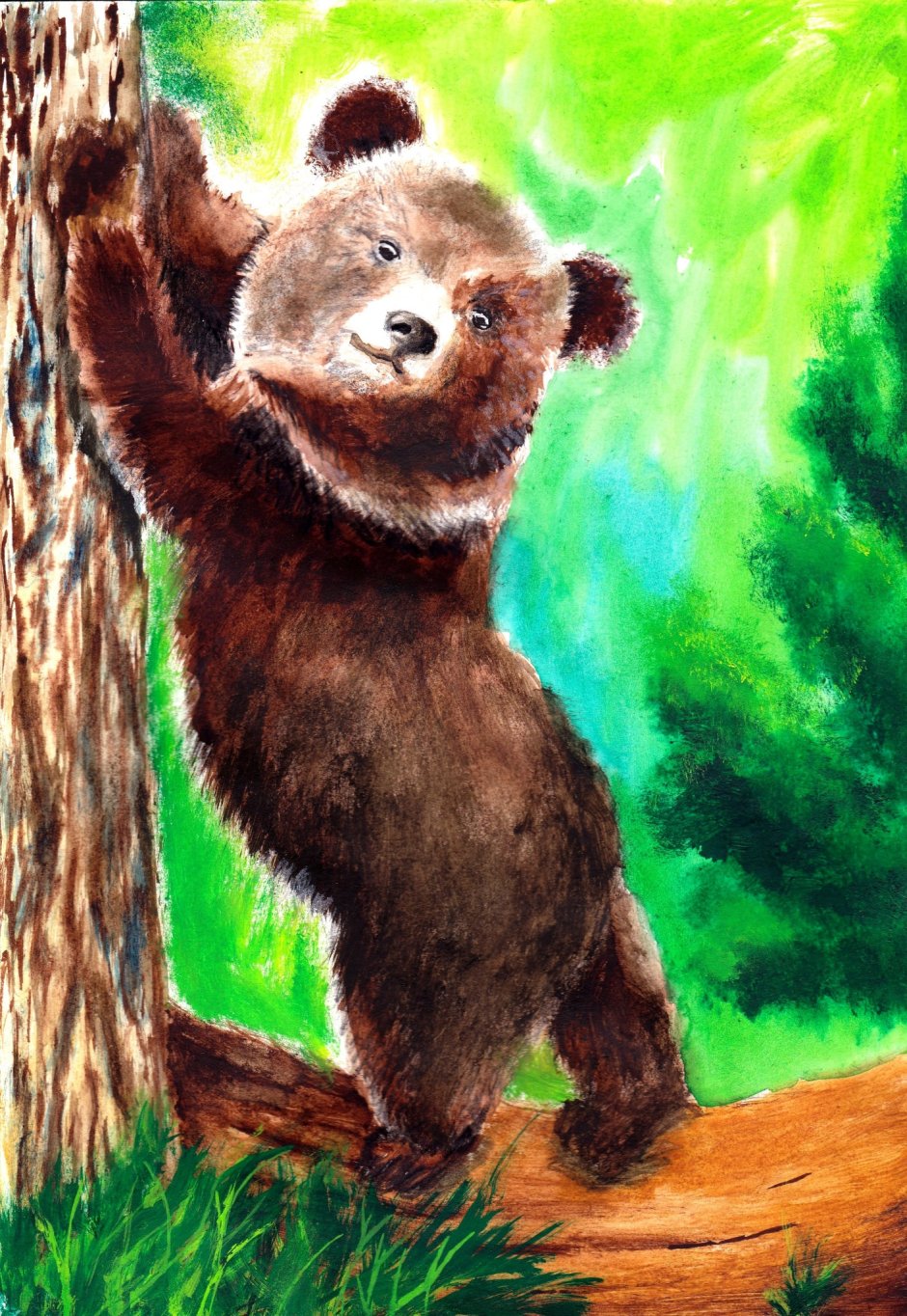 Медведь рисунок