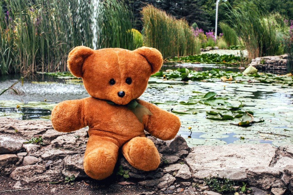 Весёлый мишка