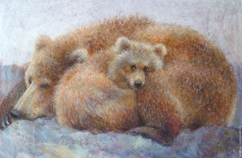 Медвежонок Бурик иллюстрации