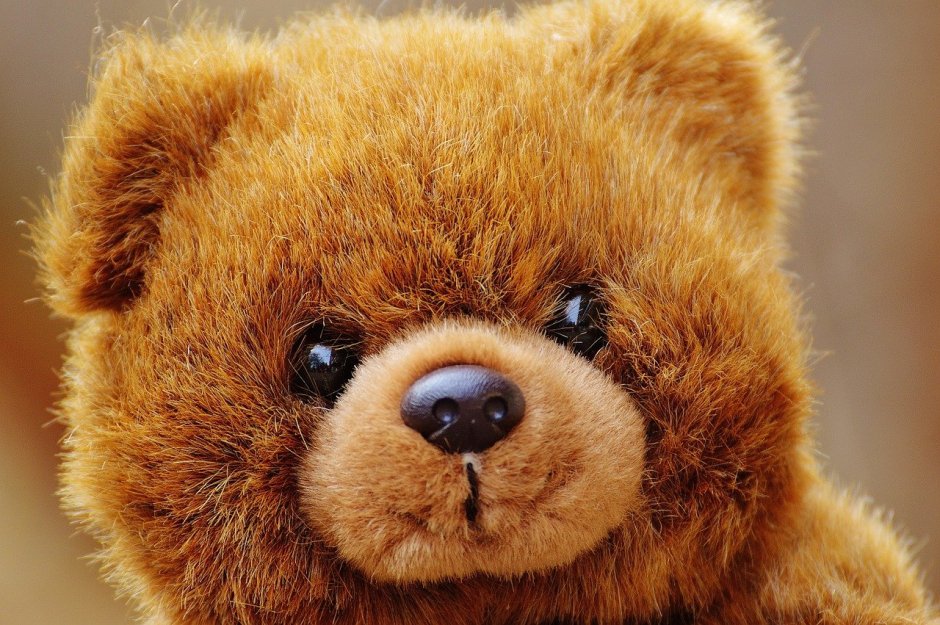 Пушистый мишка