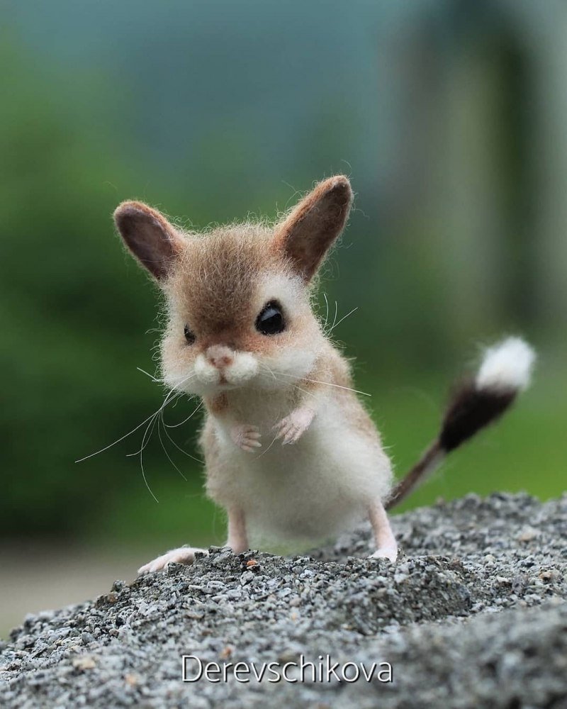 Кролик Кузя