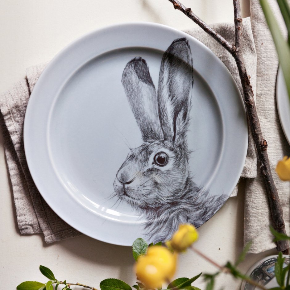 Чернохвостый калифорнийский заяц