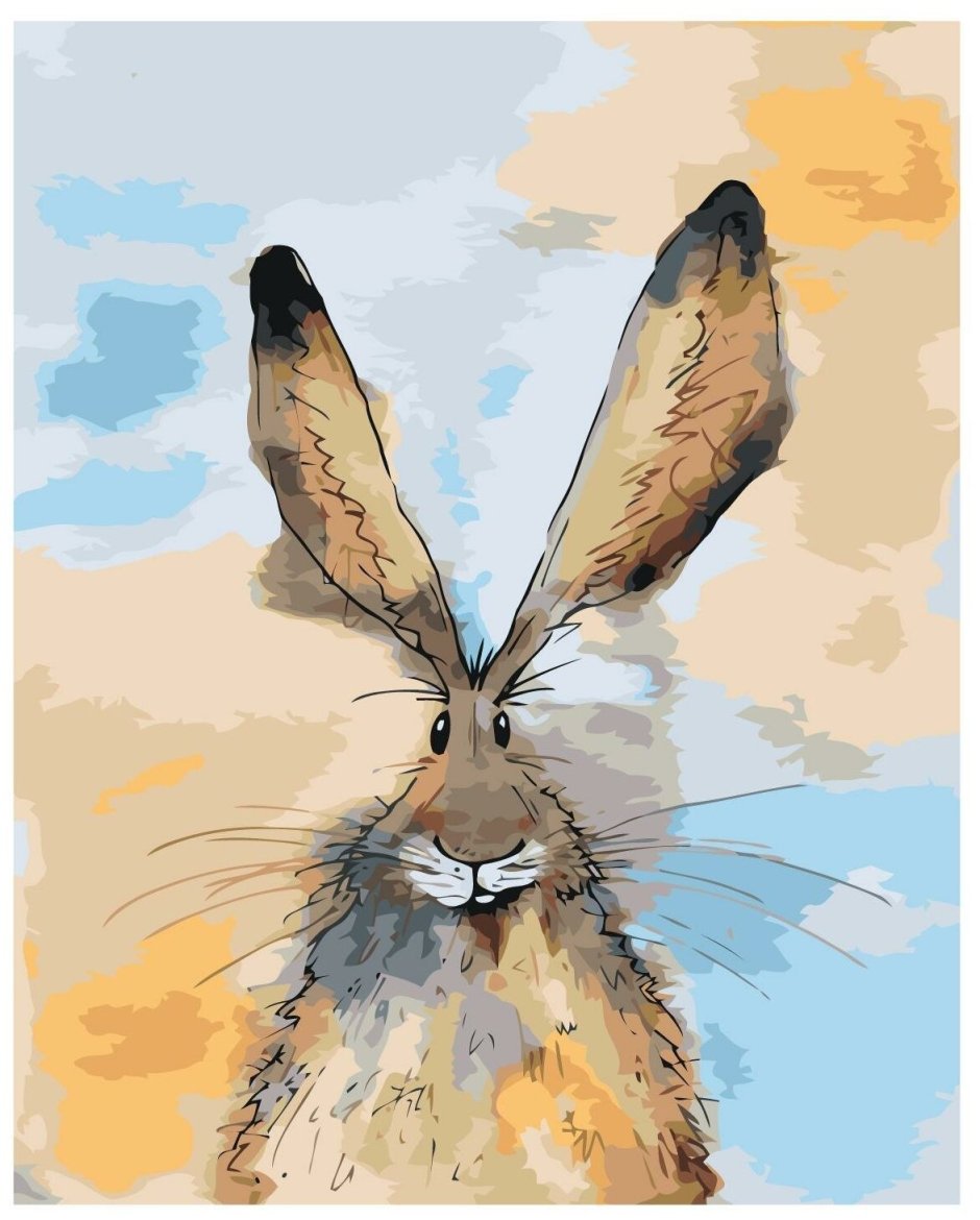 Бушменов заяц