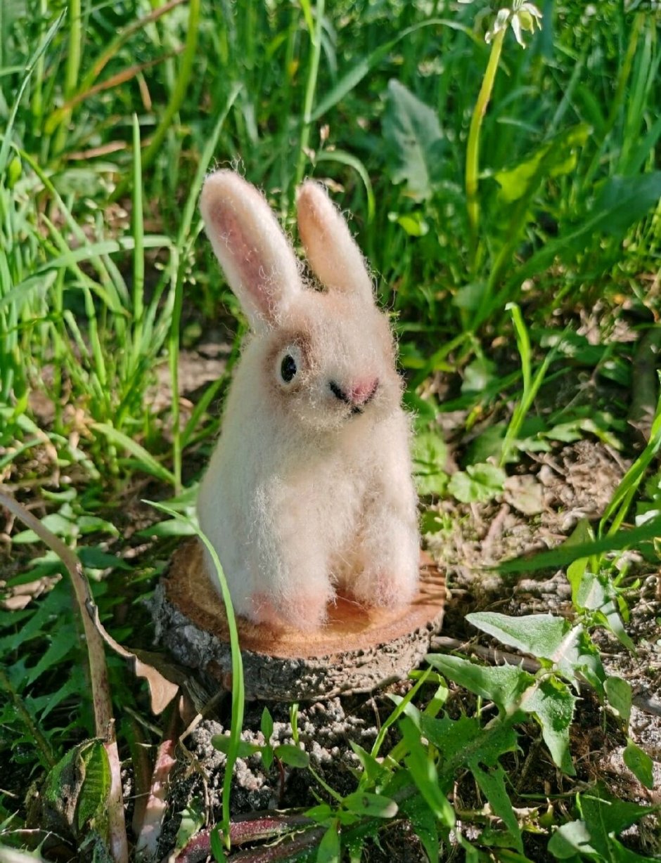 Морда зайца