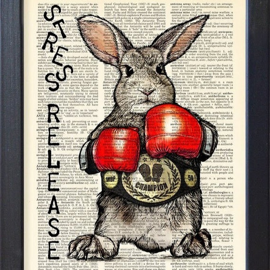 Маскот боксер