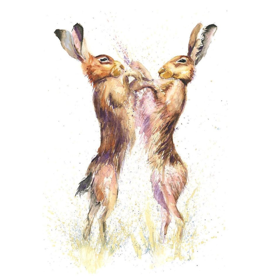 Фотограф года дикой природы 2021