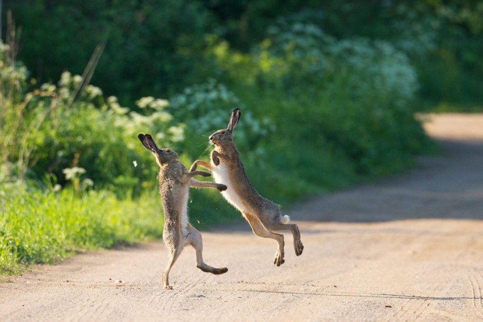 Константин Шатенев фотограф