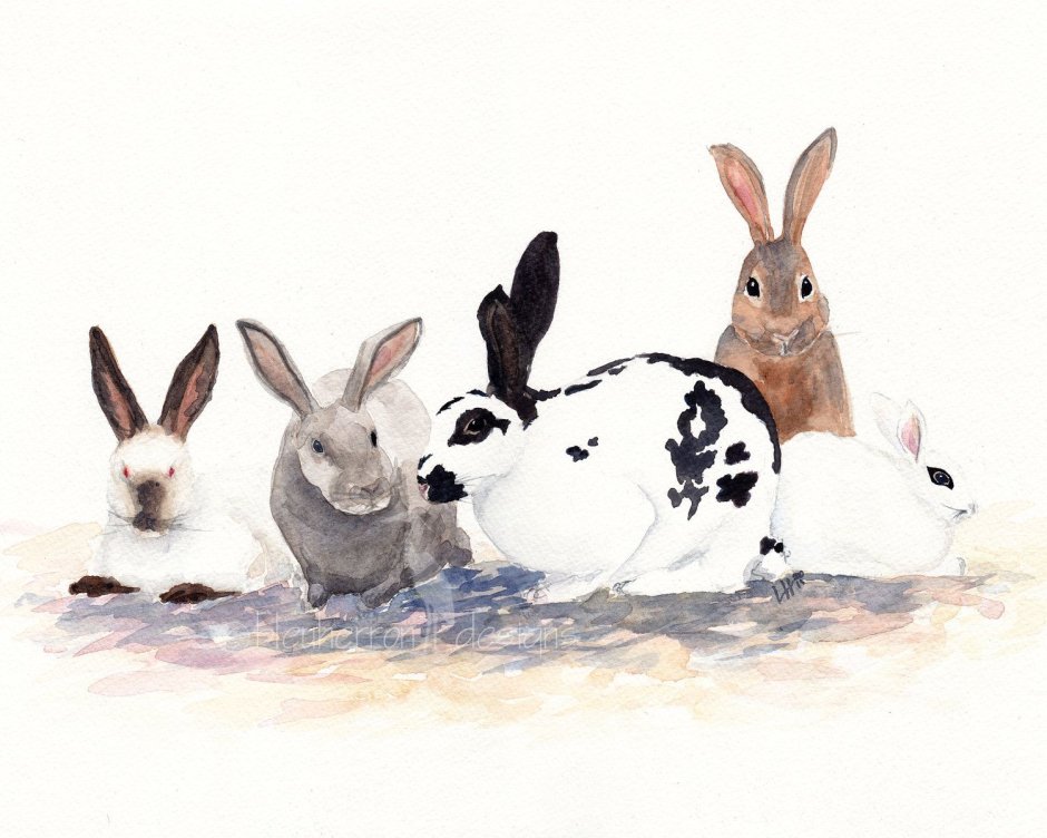 Лола Банни 2021