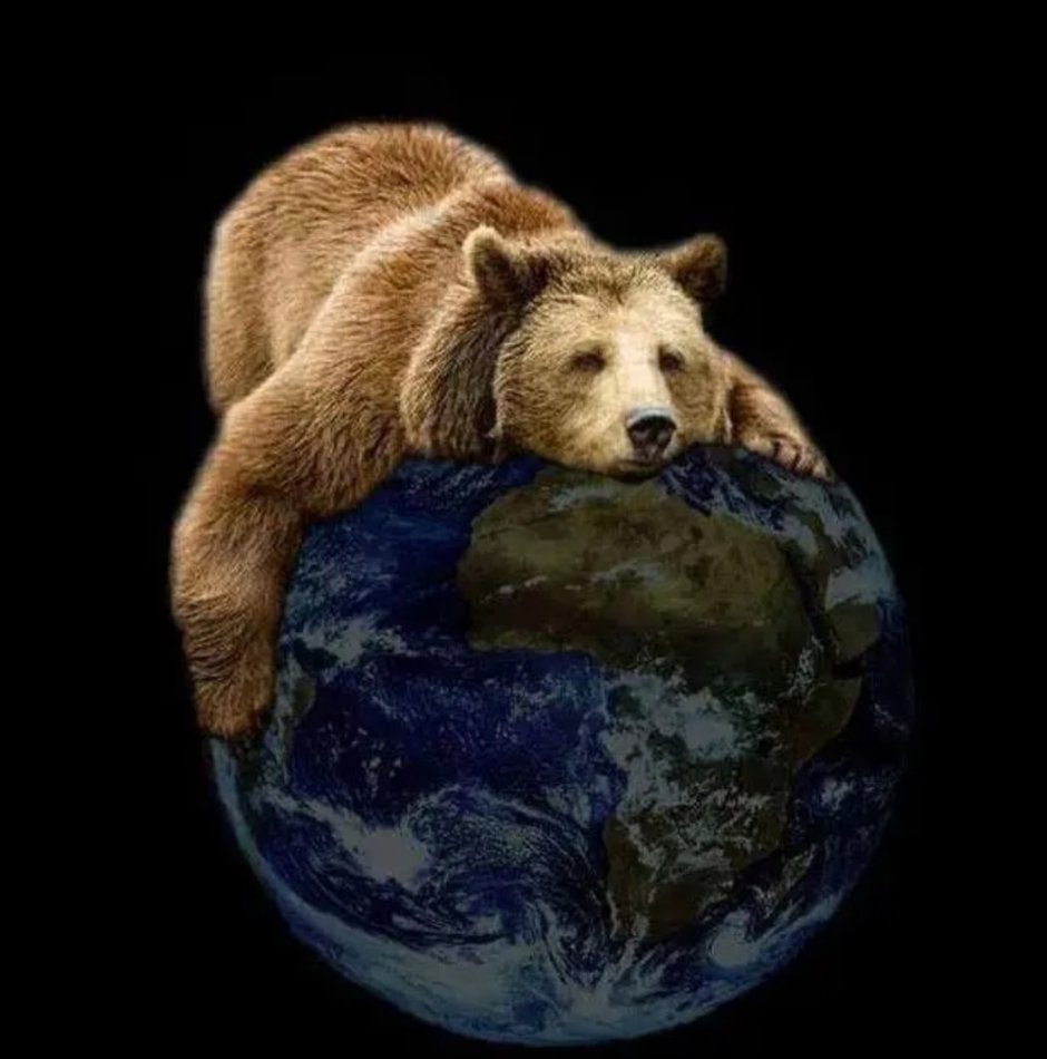 Тотем медведь