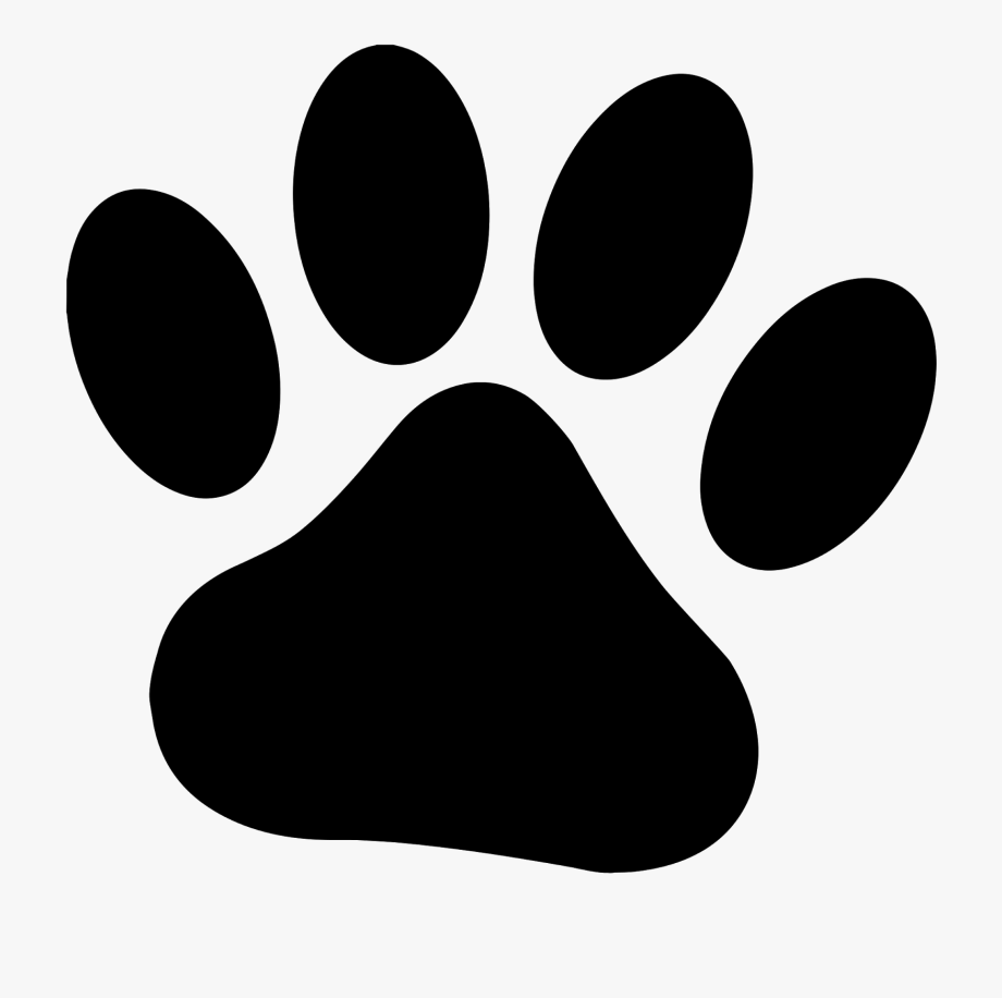 Лапа животного