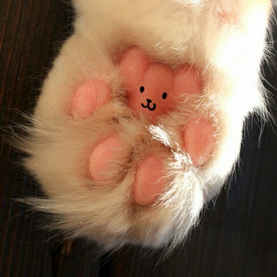 Милый кролик