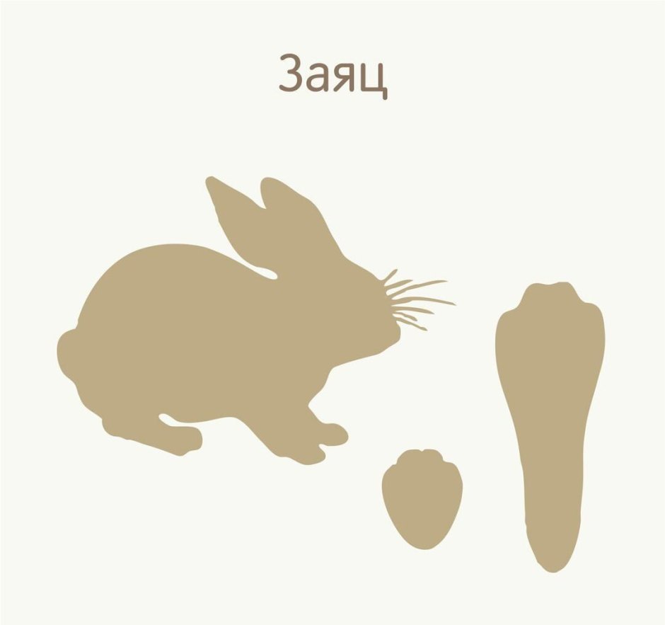 Следы диких животных для детей