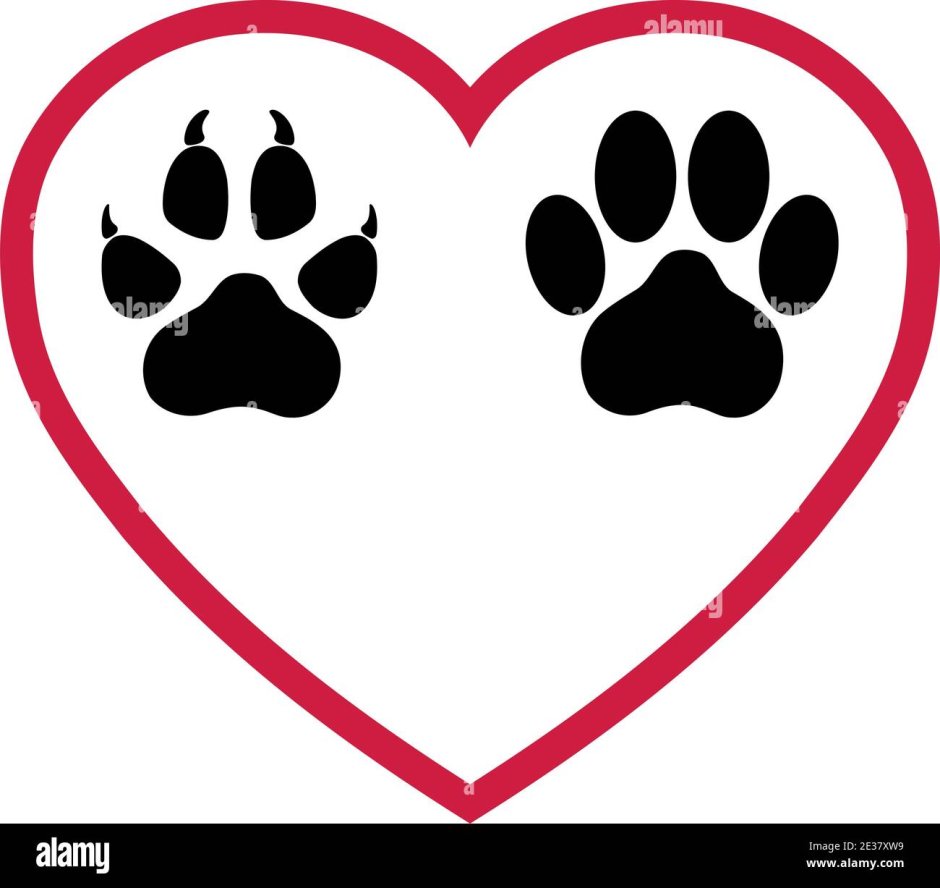 Фурсьют фуртапки