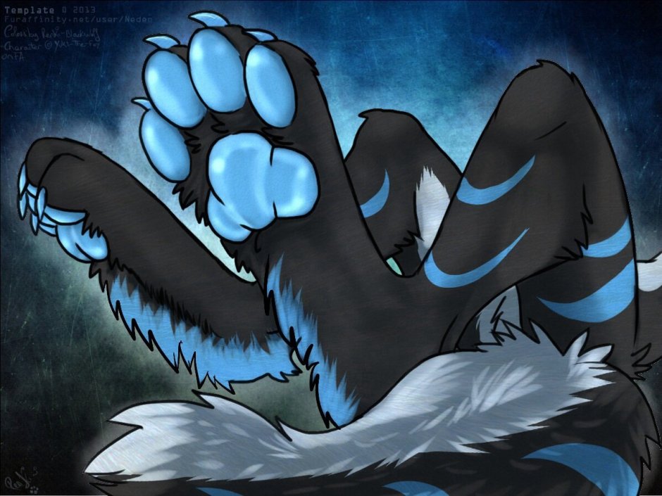 Следы кролика