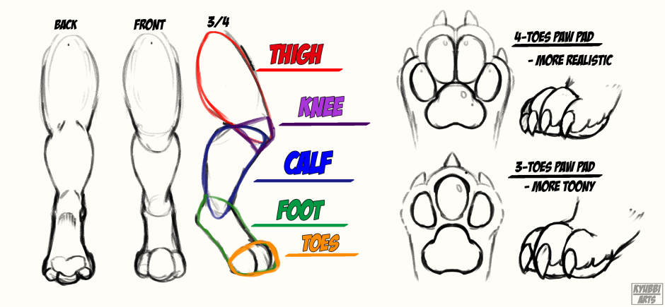 Кошатьяи заячьи лапкиэ