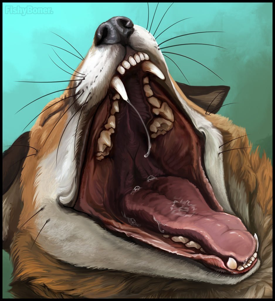 Злой медведь