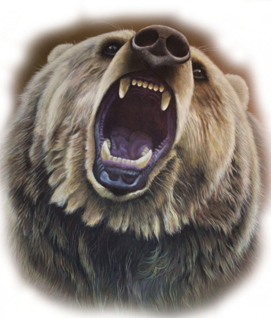 Злой белый медведь