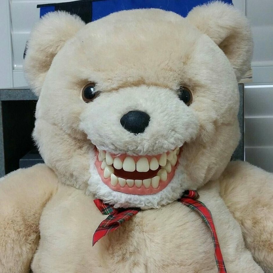 Череп белого медведя и бурого