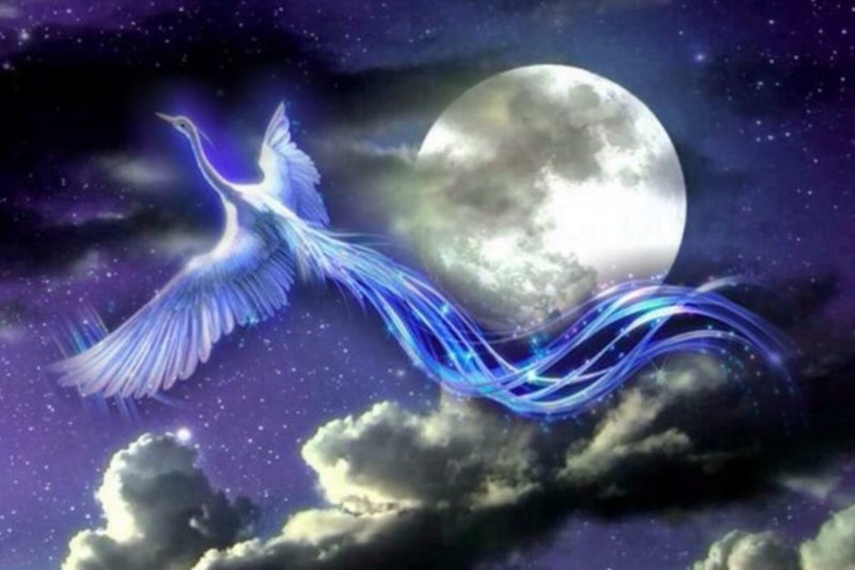 Хумо птица счастья