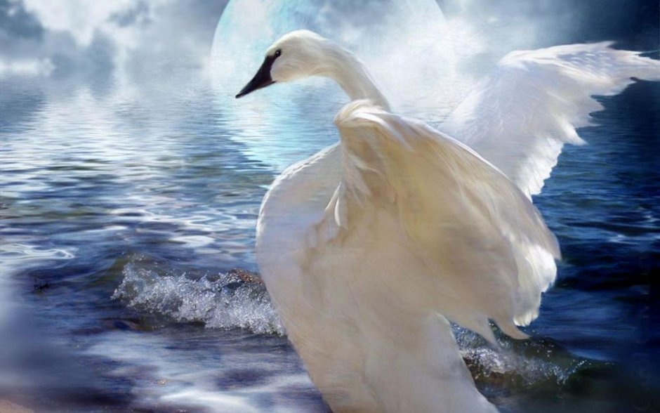 Птица Хумай Иран