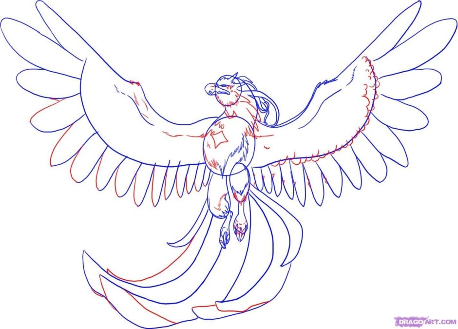 Птица Маговей