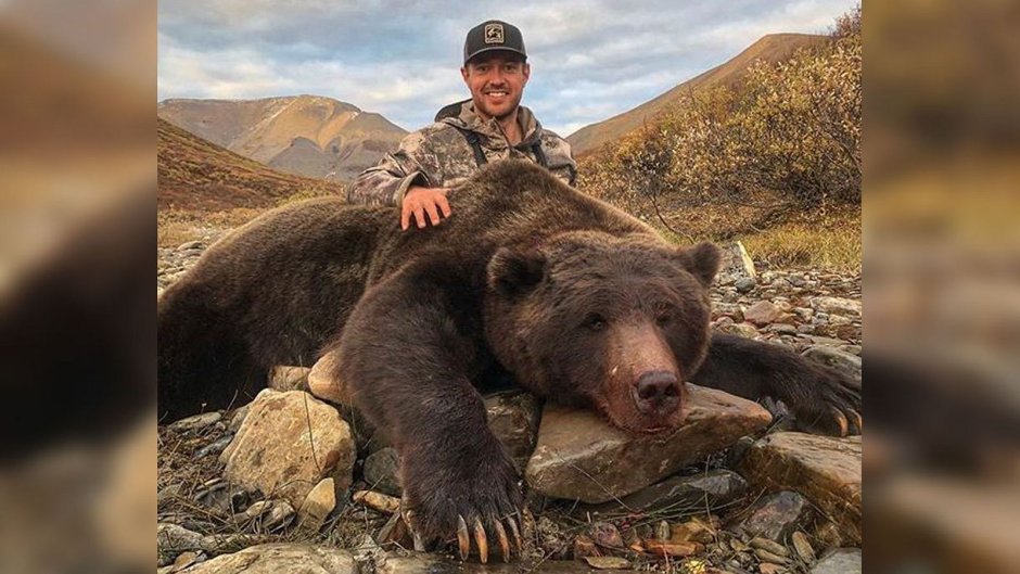 Большой бурый медведь Кадьяк