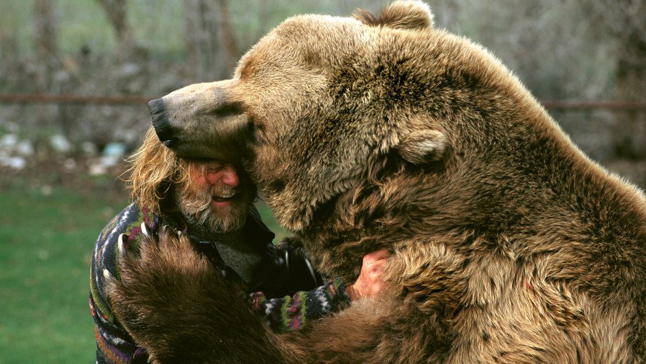 Кадьяк медведь и Гризли