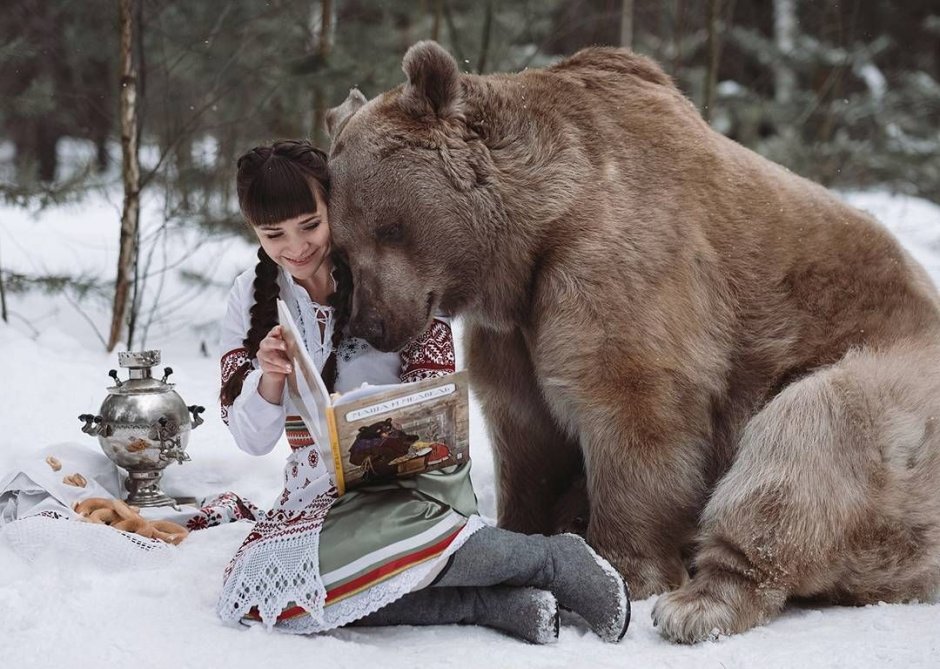 Гигантский Короткомордый медведь