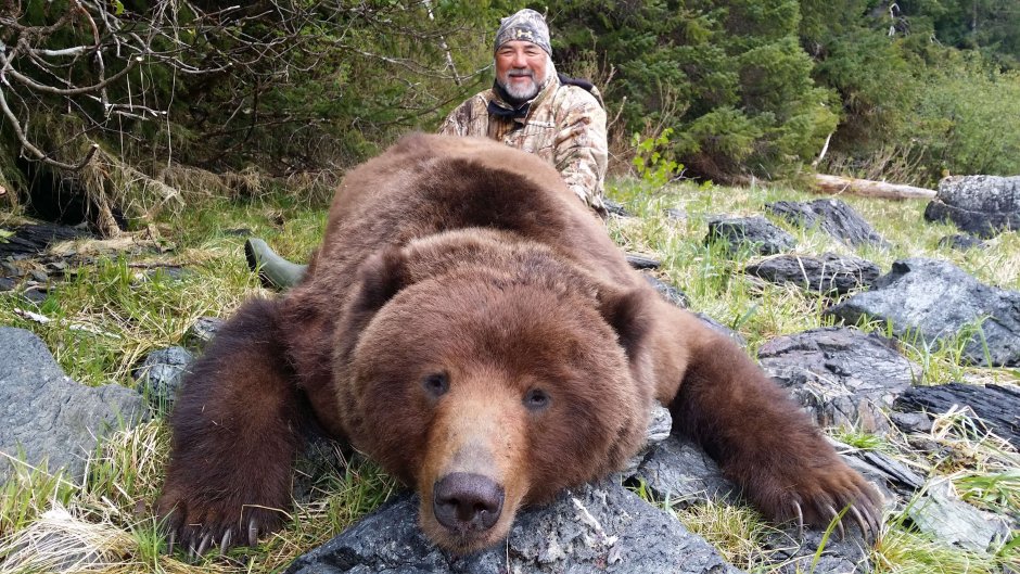 Пещерный медведь Кадьяк