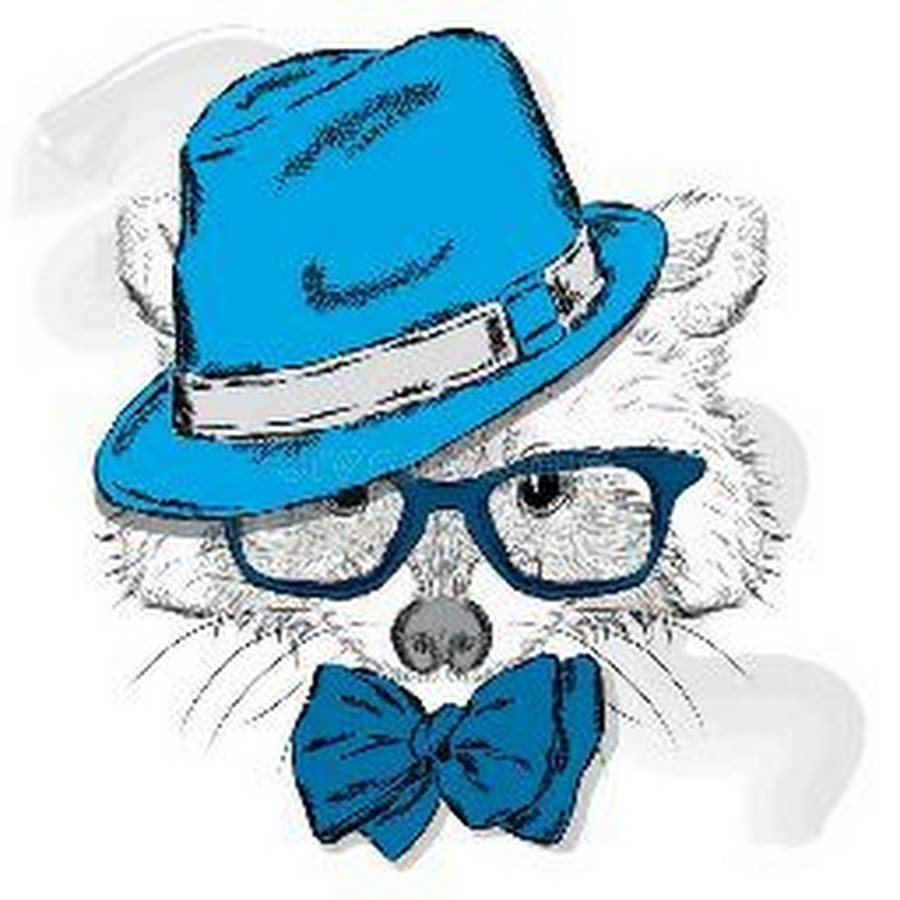 Енот в шляпе