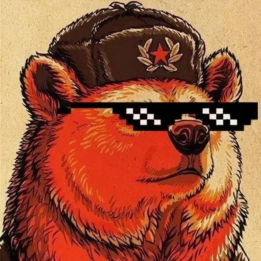 Русский медведь в очках