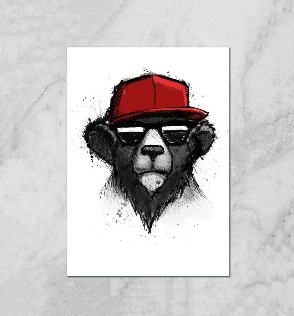 Медведь в кепке